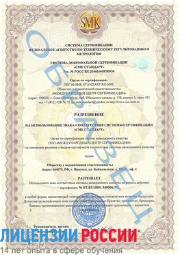 Образец разрешение Лысково Сертификат ISO 50001